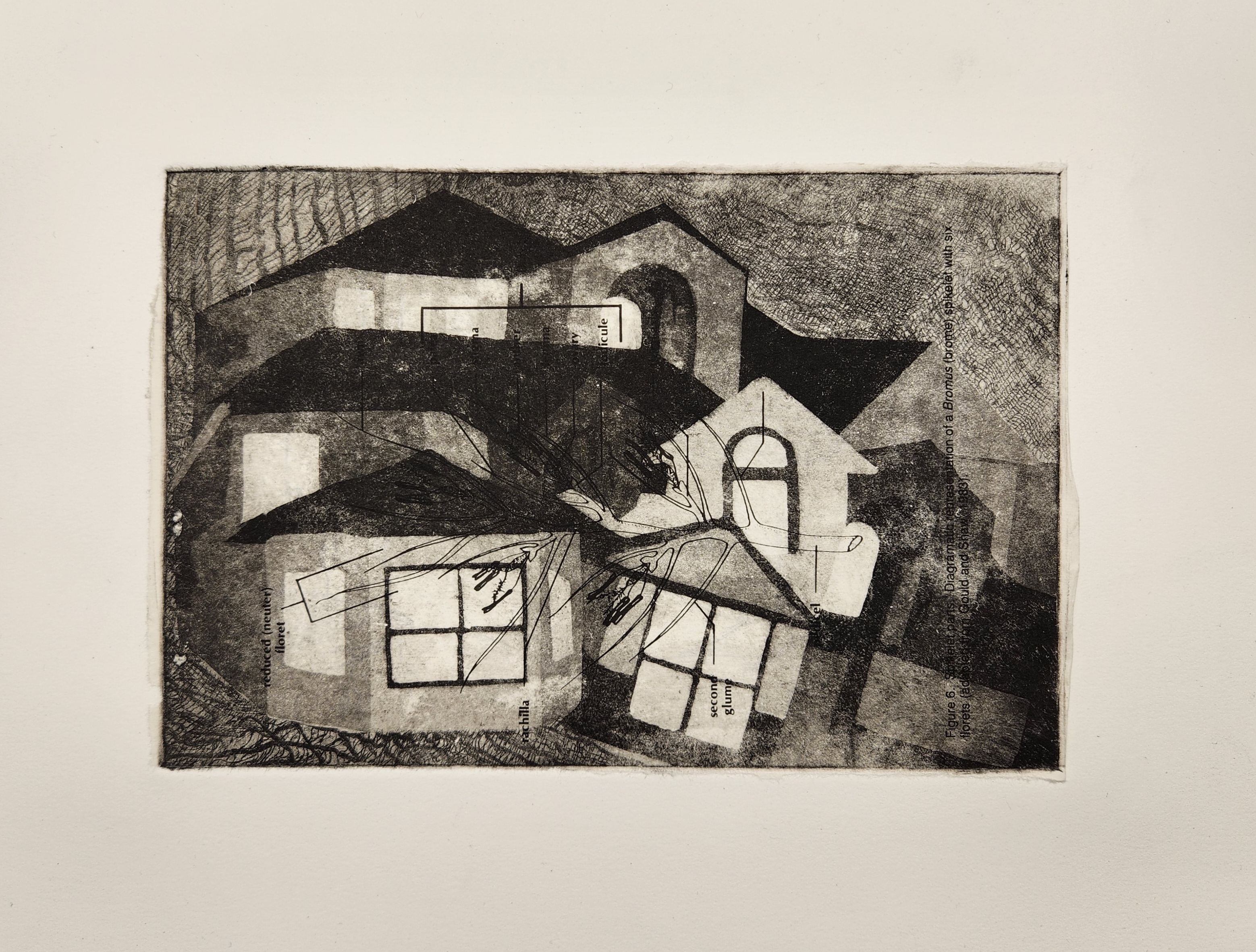 house1